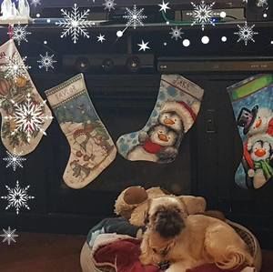 Meet your Posher, Wendy